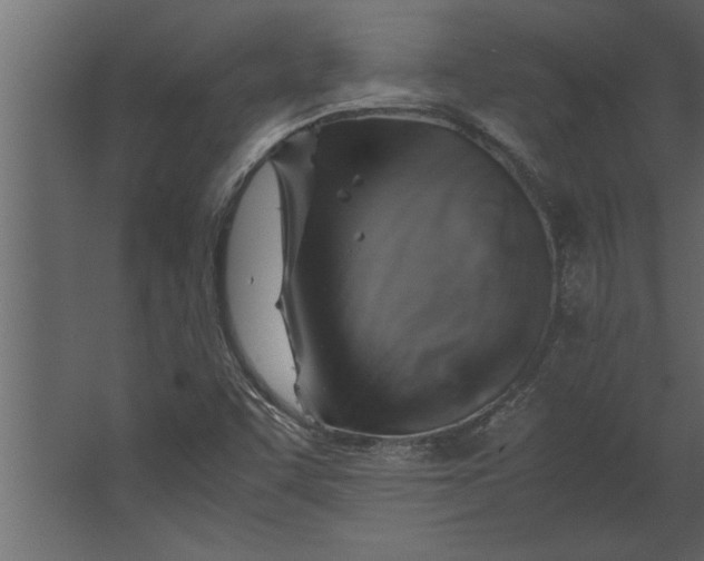 X0000067461455200604211528