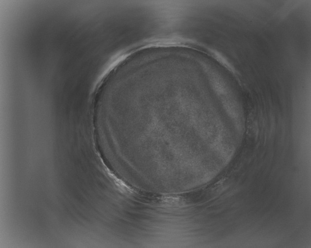 X0000067461456200604211528