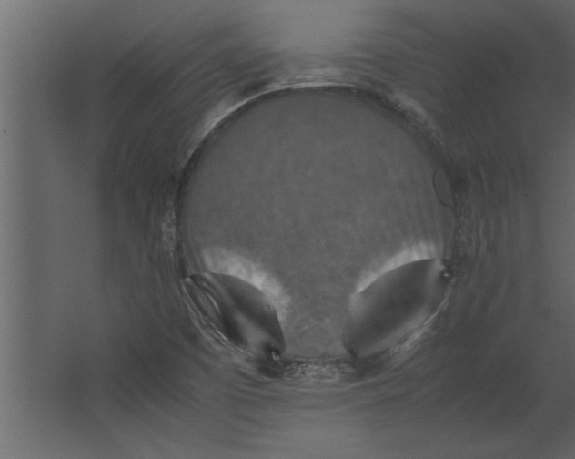 X0000067461457200604211528