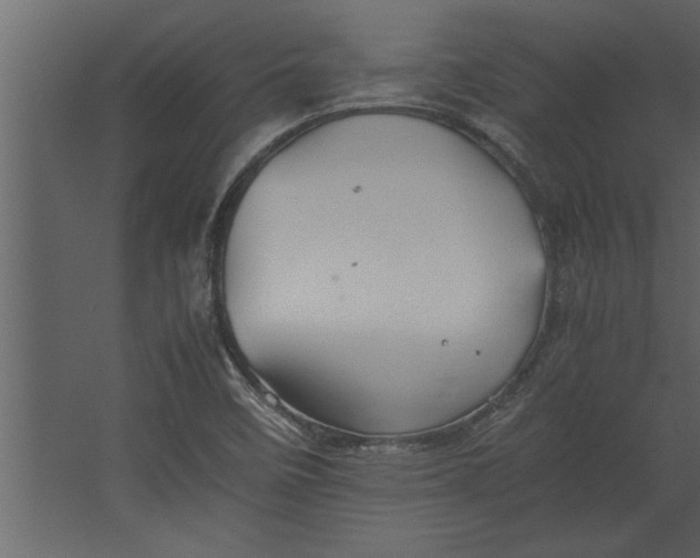 X0000067461458200604211528