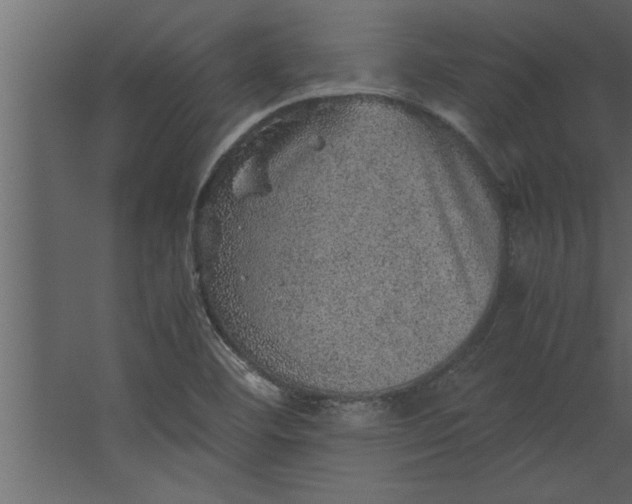 X0000067461460200604211528