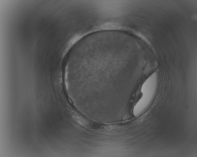 X0000067461461200604211528