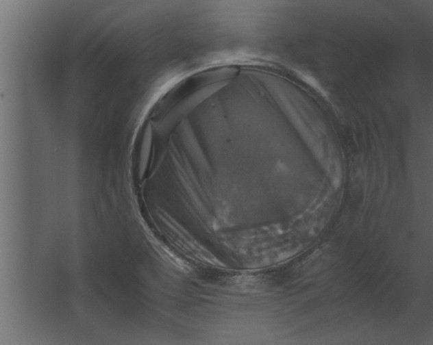 X0000067461463200604211528