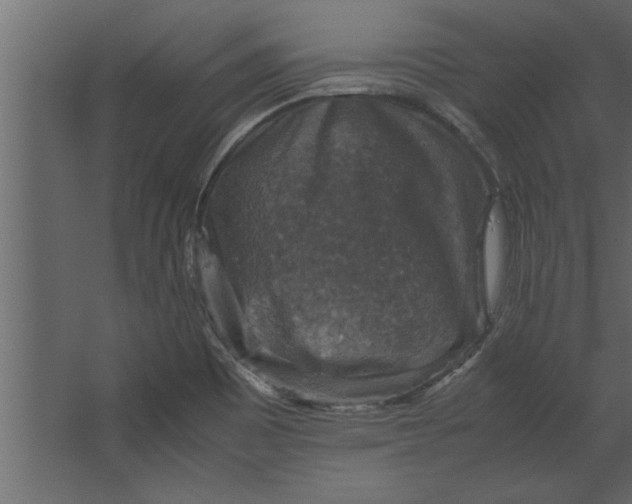 X0000067461465200604211528