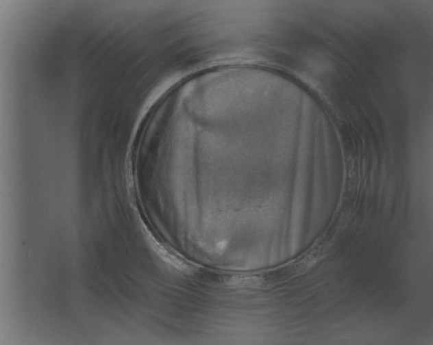 X0000067461466200604211528