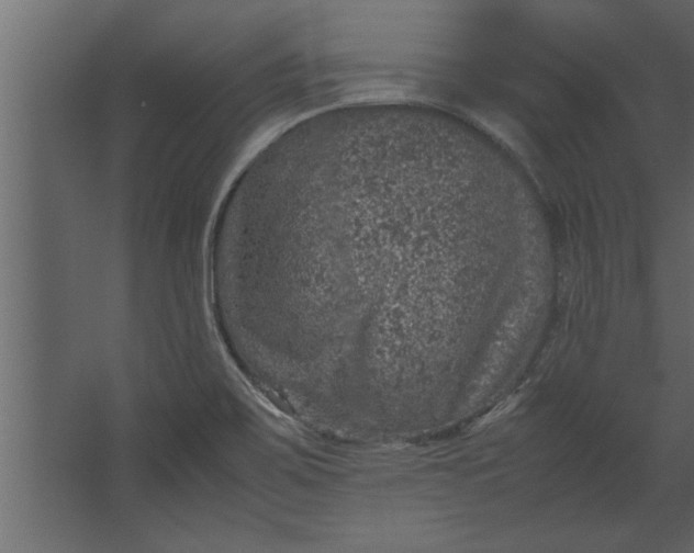 X0000067461467200604211528