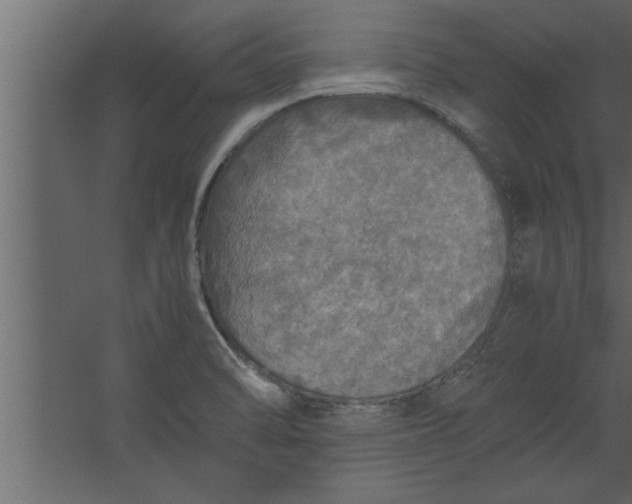 X0000067461470200604211528