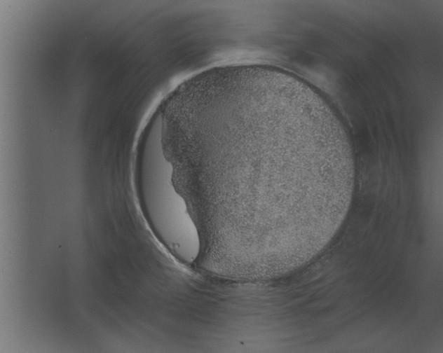 X0000067461472200604211528