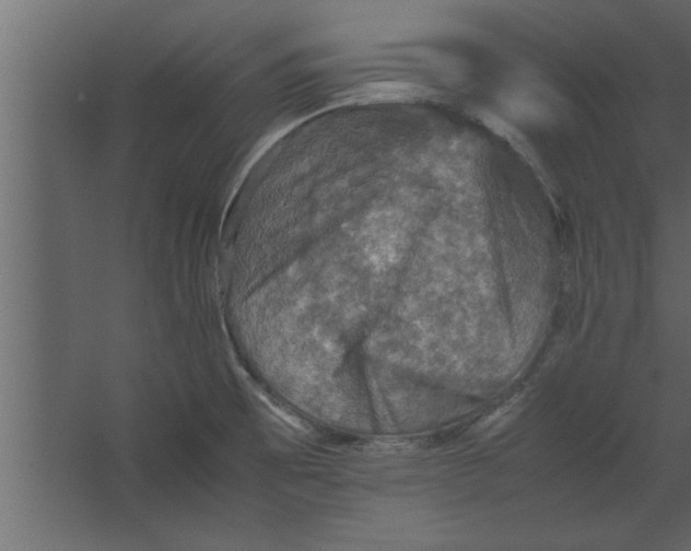 X0000067461473200604211528