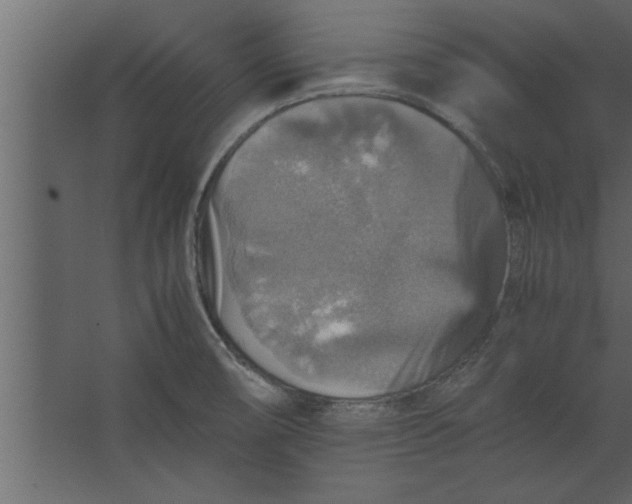 X0000067461474200604211528