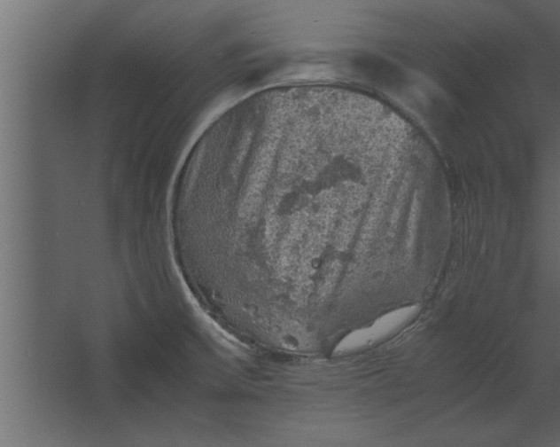 X0000067461475200604211528