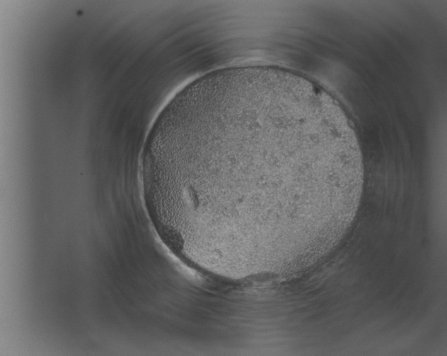 X0000067461476200604211528