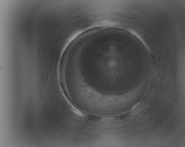 X0000067461477200604211528