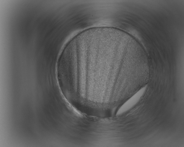 X0000067461480200604211528