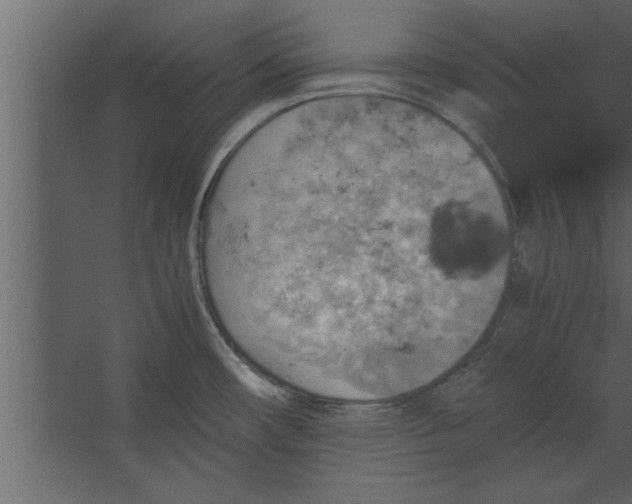 X0000067461482200604211528