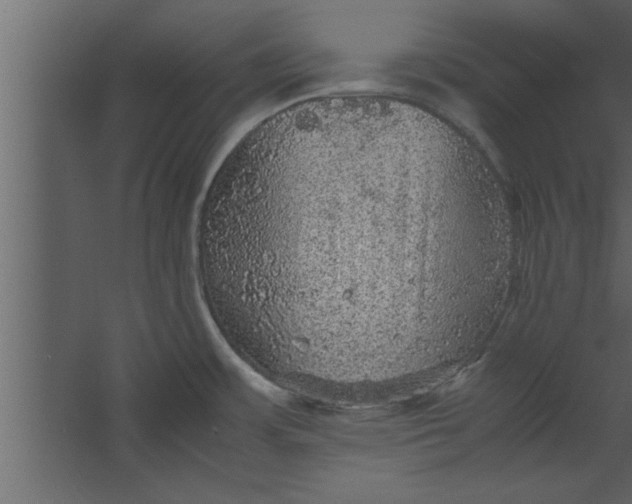 X0000067461483200604211528