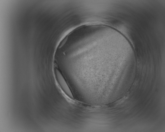 X0000067461485200604211528