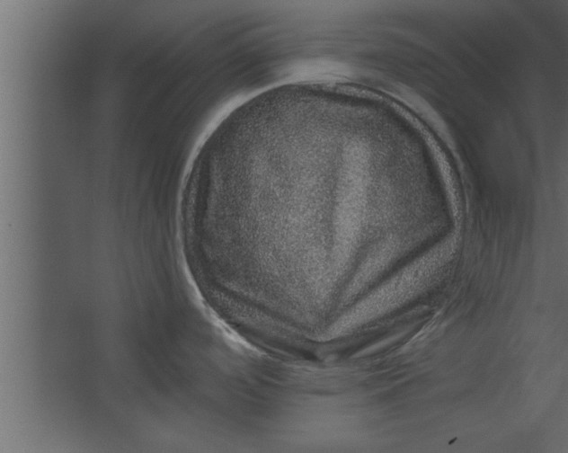 X0000067461488200604211528