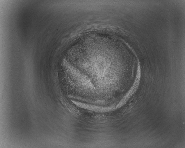 X0000067461489200604211527