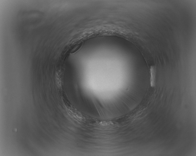 X0000067461491200604211527