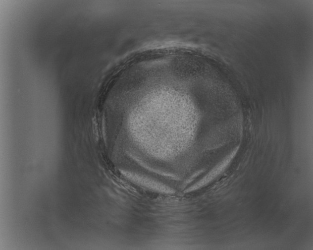 X0000067461493200604211527