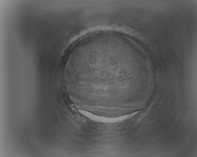 X0000067461494200604211527