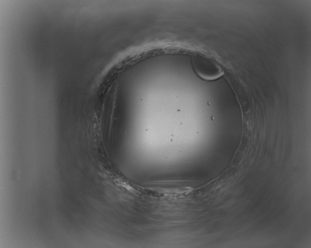 X0000067461495200604211527