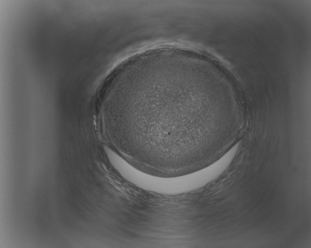 X0000067461496200604211527