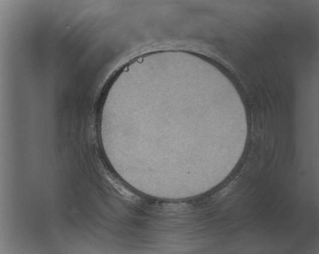 X0000067461498200604211527