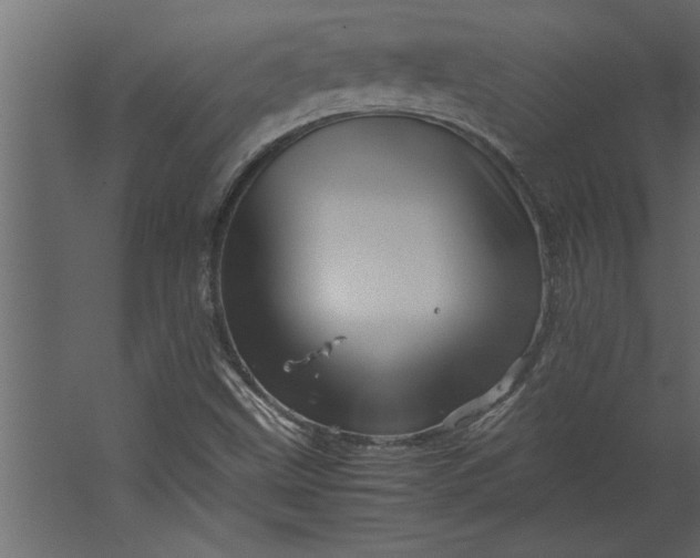 X0000067461499200604211527