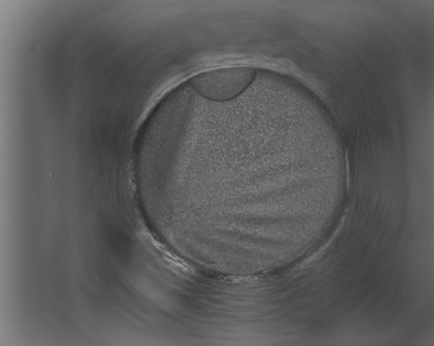 X0000067461501200604211527