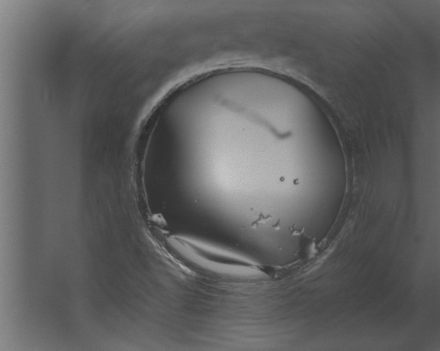 X0000067461502200604211527