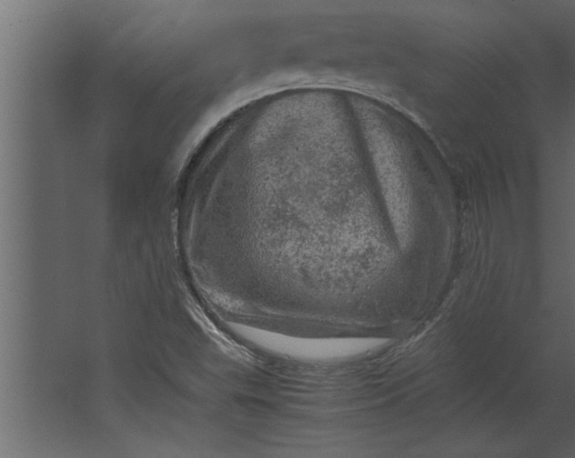 X0000067461503200604211527