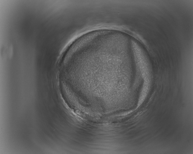 X0000067461504200604211527