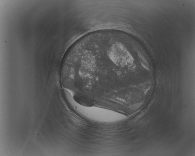 X0000067461505200604211527