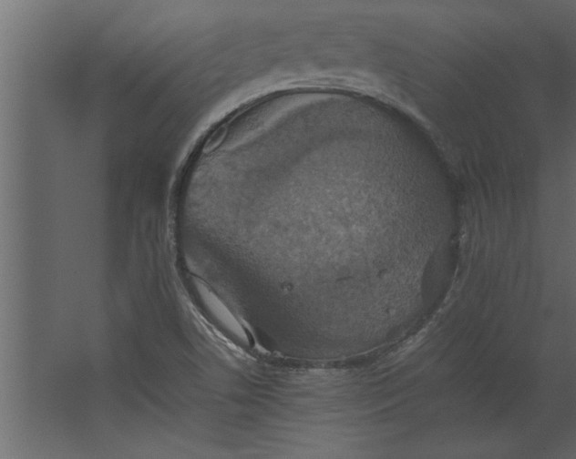 X0000067461506200604211527