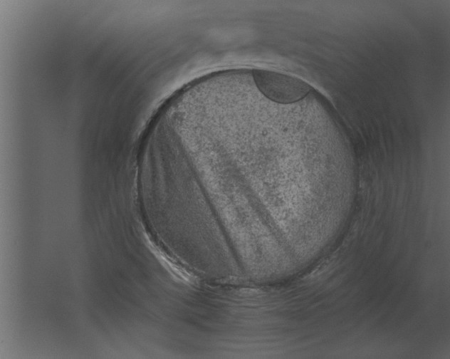 X0000067461507200604211527