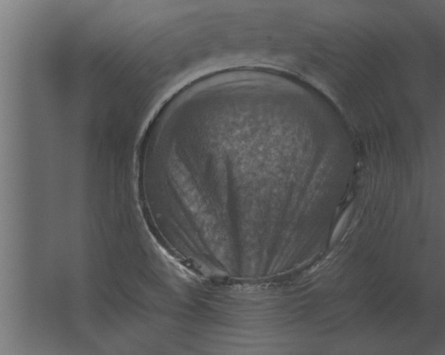 X0000067461508200604211527