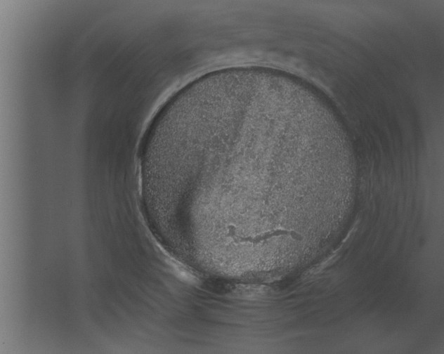 X0000067461509200604211527