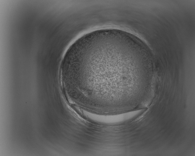 X0000067461510200604211527