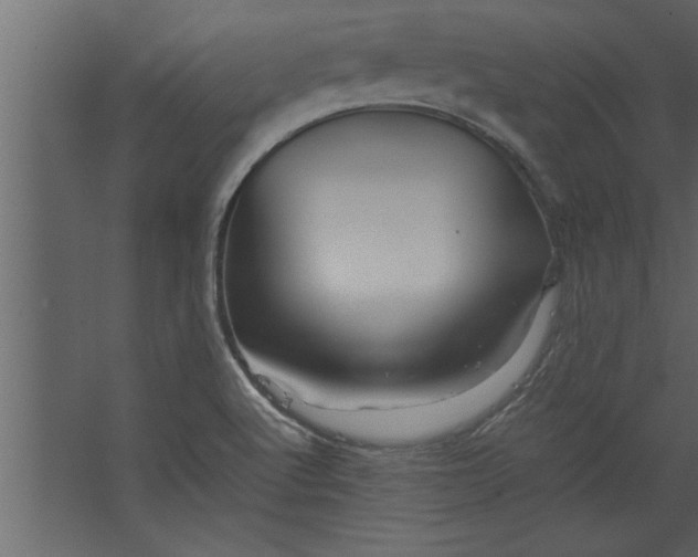 X0000067461512200604211527