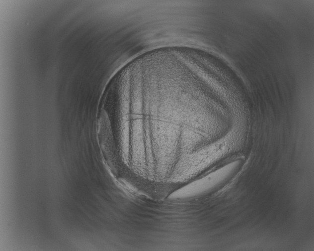 X0000067461513200604211527