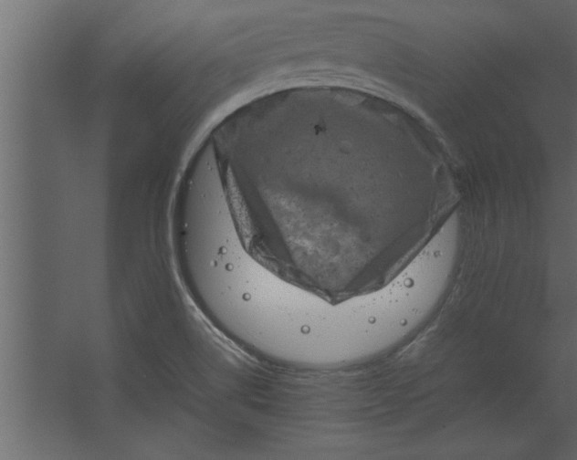 X0000067461514200604211527