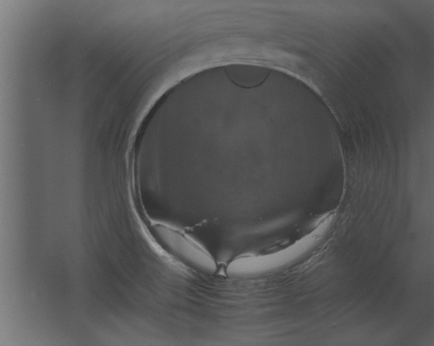 X0000067461515200604211527