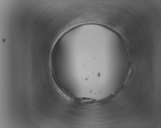 X0000067461516200604211527