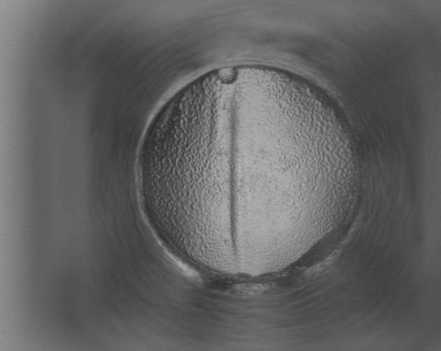 X0000067461517200604211527