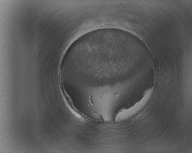 X0000067461519200604211528