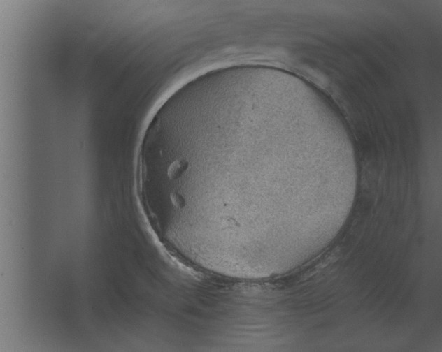 X0000067461520200604211528