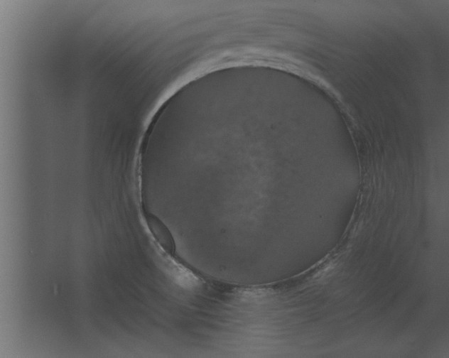 X0000067461522200604211528