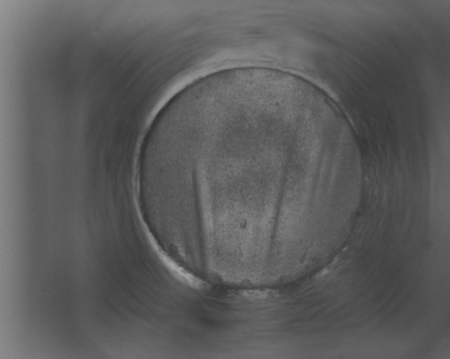 X0000067461523200604211528